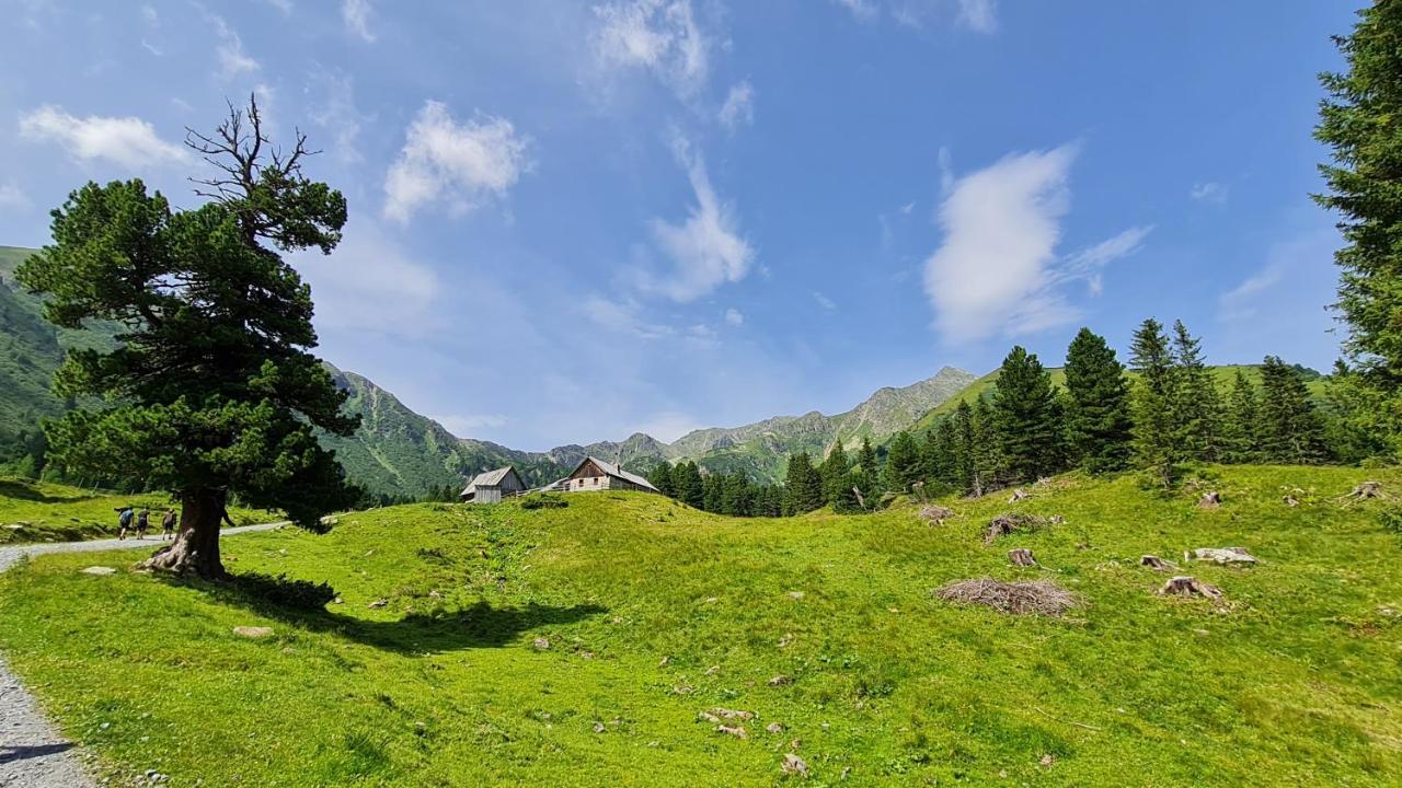 Haus Emmy - Urlaub Bei Freunden Villa Hohentauern Exteriör bild