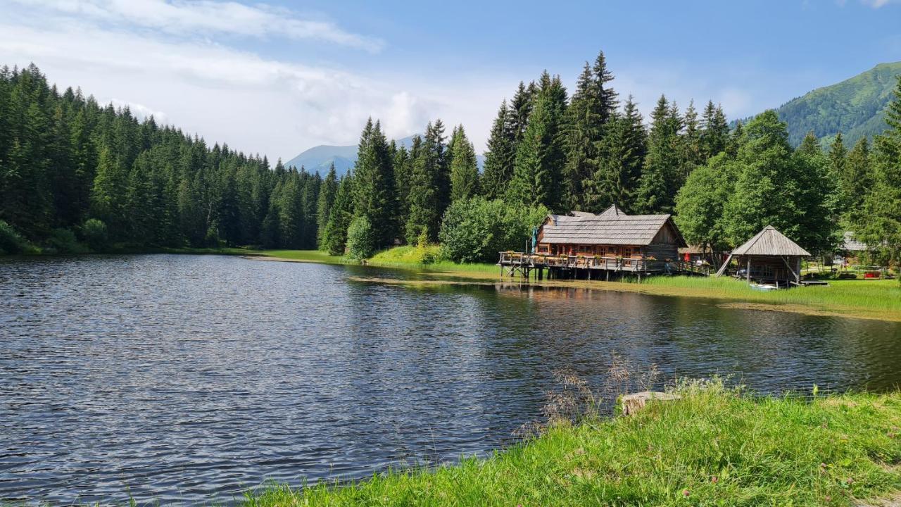 Haus Emmy - Urlaub Bei Freunden Villa Hohentauern Exteriör bild