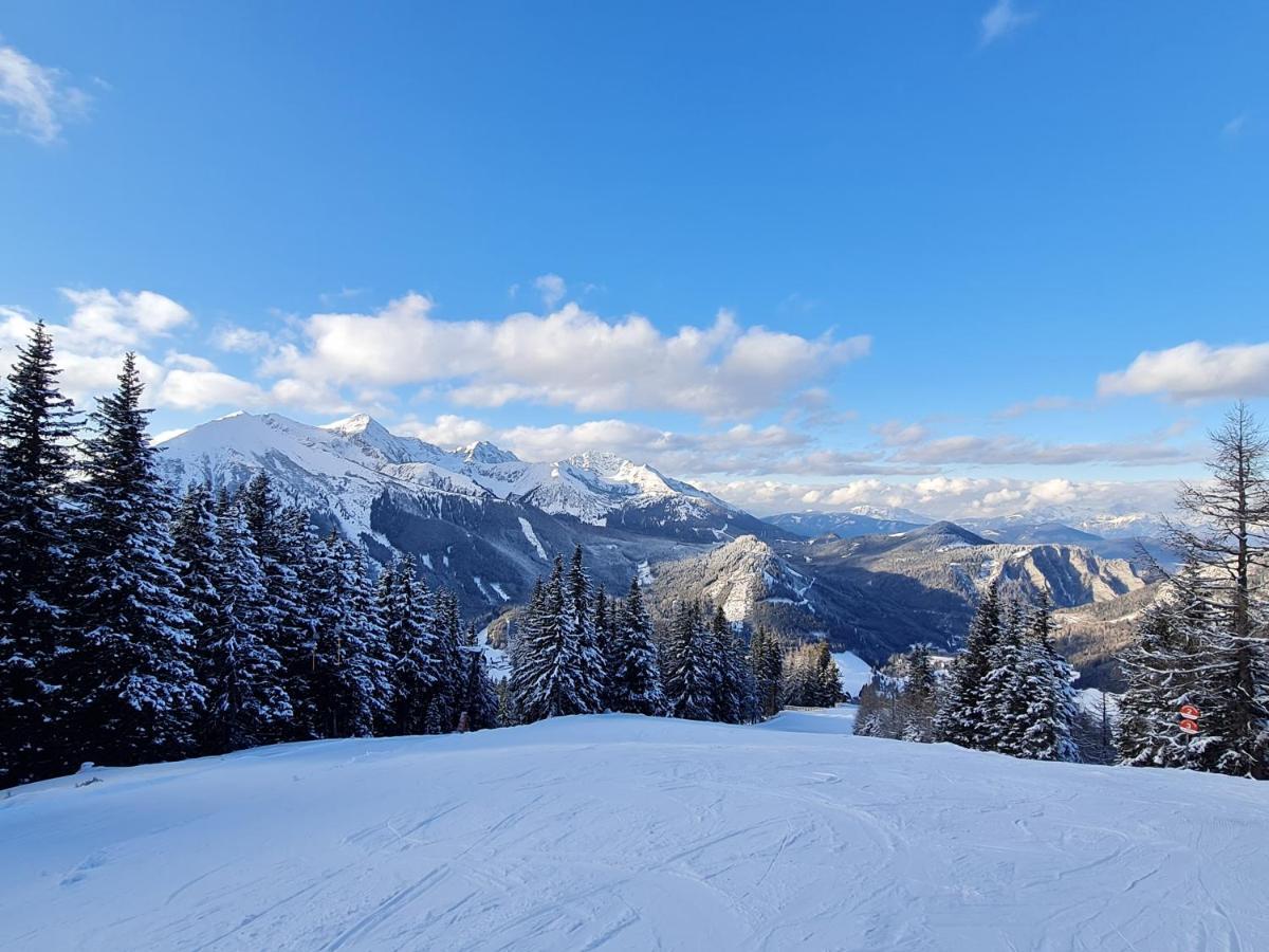 Haus Emmy - Urlaub Bei Freunden Villa Hohentauern Exteriör bild